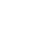 ביטוח לאומי